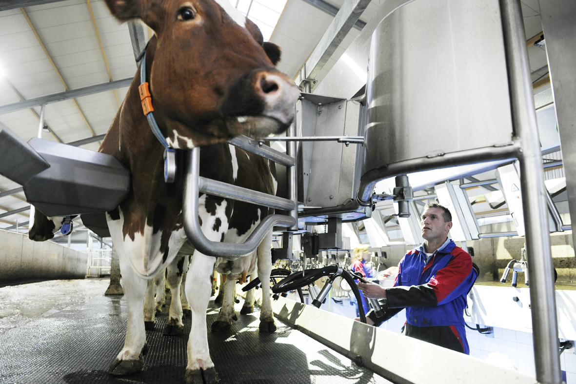 144232 Rabobank Nederland, 'Banking For Food'>2016
